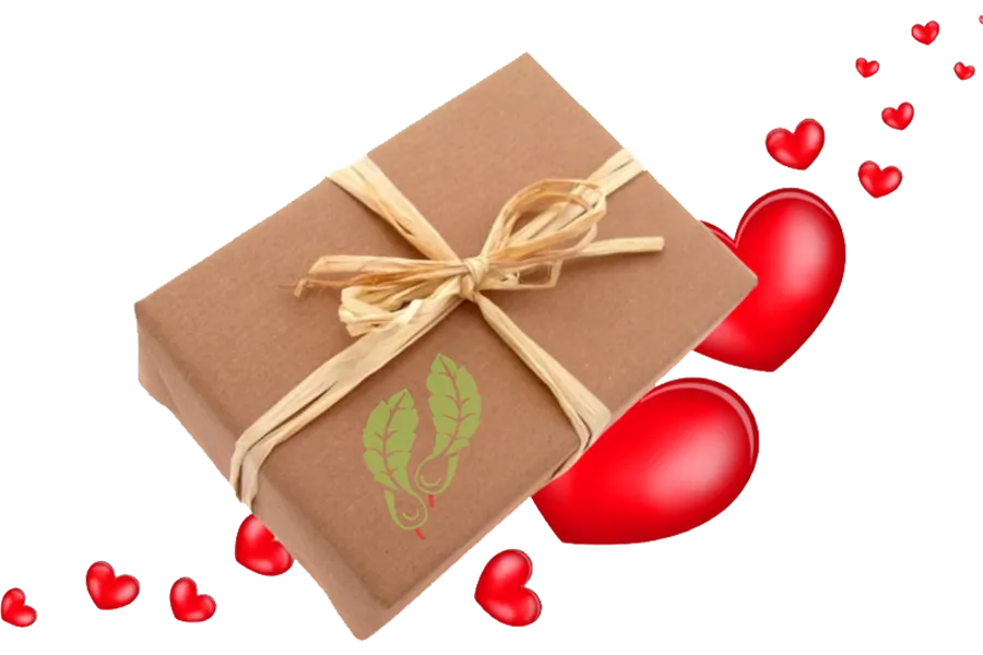 Gift Card Wellness Footwear and Sanita